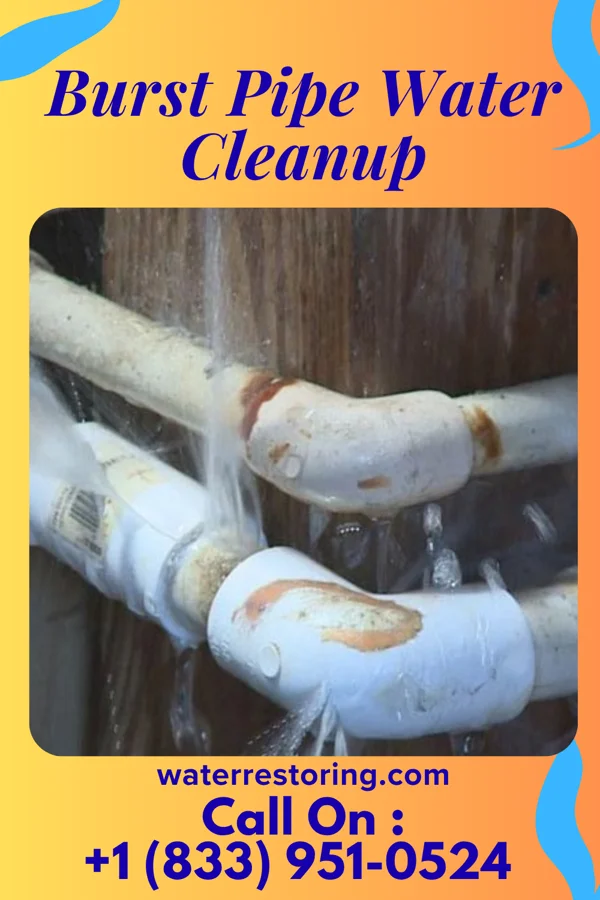 Burst Pipe Water Cleanup in Revere, MA
